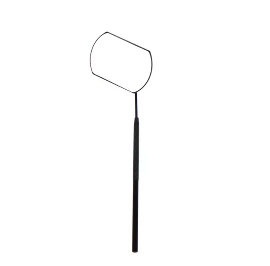 Lash mirror